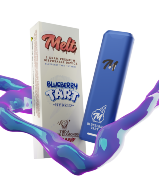 Melt Exotic 2g blueberry tart Disposable hybrid